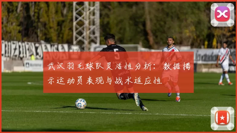 武汉羽毛球队灵活性分析：数据揭示运动员表现与战术适应性