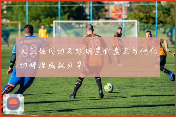 大卫姓氏的足球明星们盘点与他们的辉煌成就分享
