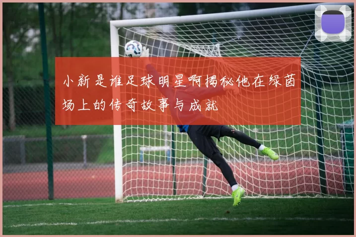 小新是谁足球明星啊揭秘他在绿茵场上的传奇故事与成就