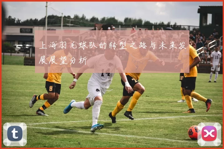 上海羽毛球队的转型之路与未来发展展望分析