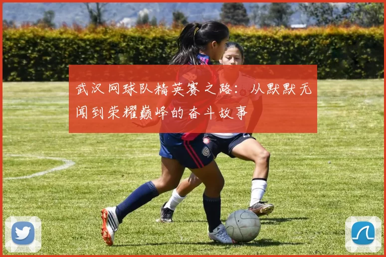 武汉网球队精英赛之路：从默默无闻到荣耀巅峰的奋斗故事