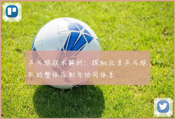 乒乓球战术解析：探秘北京乒乓球队的整体压制与协同体系