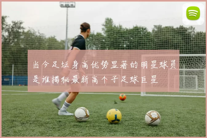 当今足坛身高优势显著的明星球员是谁揭秘最新高个子足球巨星