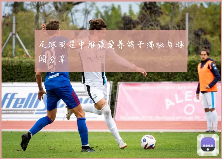 足球明星中谁最爱养鸽子揭秘与趣闻分享