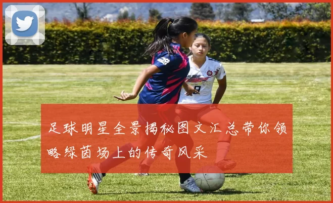 足球明星全景揭秘图文汇总带你领略绿茵场上的传奇风采