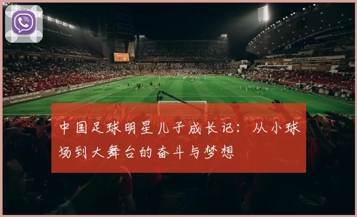 中国足球明星儿子成长记：从小球场到大舞台的奋斗与梦想