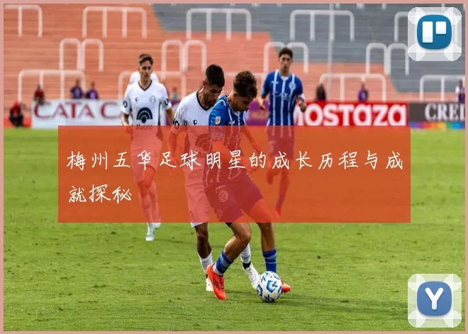 梅州五华足球明星的成长历程与成就探秘