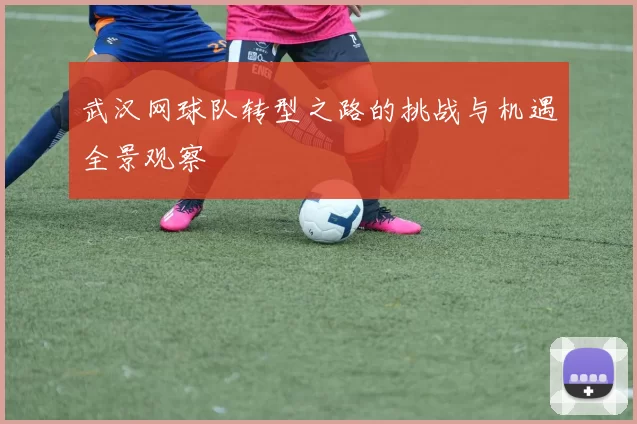 武汉网球队转型之路的挑战与机遇全景观察
