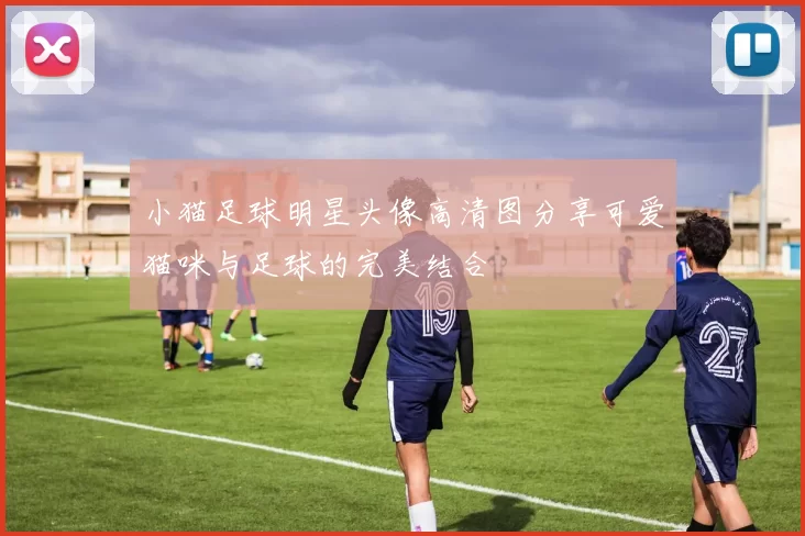小猫足球明星头像高清图分享可爱猫咪与足球的完美结合