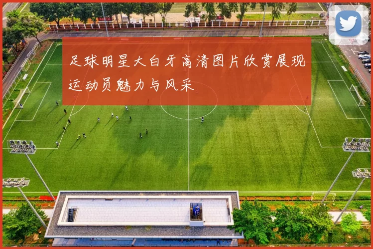 足球明星大白牙高清图片欣赏展现运动员魅力与风采