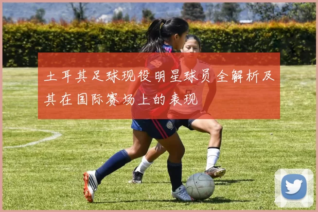 土耳其足球现役明星球员全解析及其在国际赛场上的表现