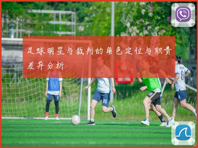 足球明星与裁判的角色定位与职责差异分析