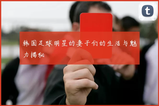 韩国足球明星的妻子们的生活与魅力揭秘