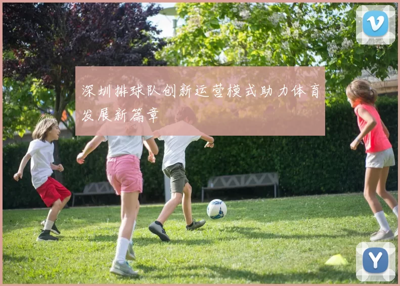 深圳排球队创新运营模式助力体育发展新篇章