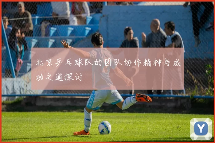 北京乒乓球队的团队协作精神与成功之道探讨