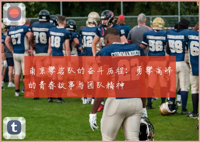 南京攀岩队的奋斗历程：勇攀高峰的青春故事与团队精神