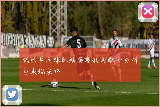 武汉乒乓球队精英赛精彩配合分析与表现点评