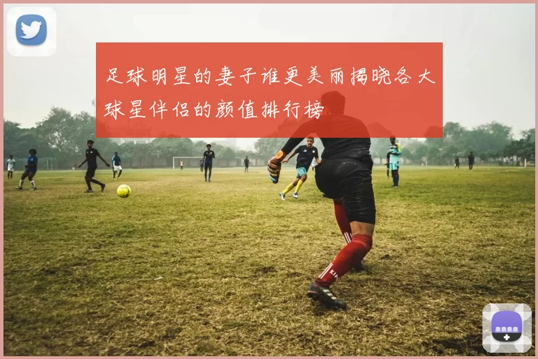足球明星的妻子谁更美丽揭晓各大球星伴侣的颜值排行榜